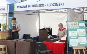 Zdjęcia z pikniku z okazji 25-lecia Powiatu Bieruńsko-Lędzińskiego (9)